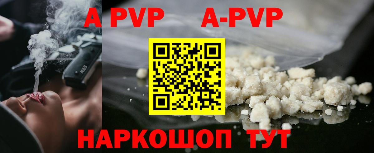 A PVP крисы CK Кириши