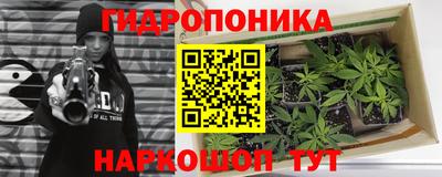 индика Кимры