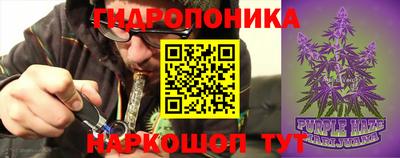 индика Кимры