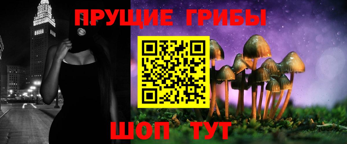 Кириши  Псилоцибиновые грибы прущие грибы  Вход с VPN  Галлюциногенные грибы мицелий 